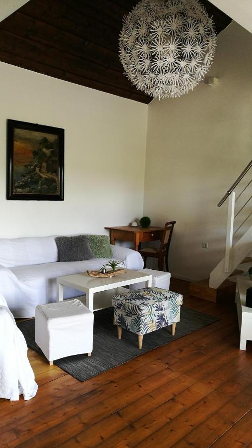 Ferienhaus Glucksmoment Grasellenbach Ngoại thất bức ảnh